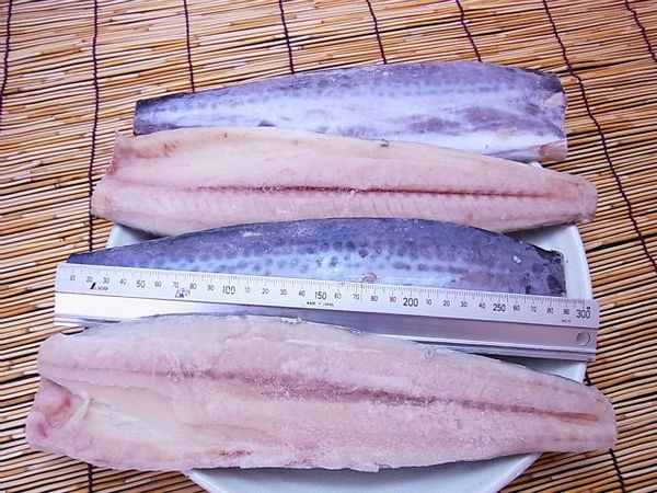 サゴシ サワラ フィーレ 4kg 15枚 格安の国産 輸入冷凍魚介類の卸売と通販 エーアンドエフ有限会社