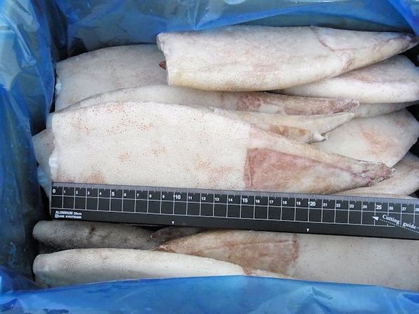 国産 バラ凍結◇つぼ抜きいか 7.5kg（30尾） 格安の国産・輸入冷凍魚介類の卸売と通販｜エーアンドエフ有限会社